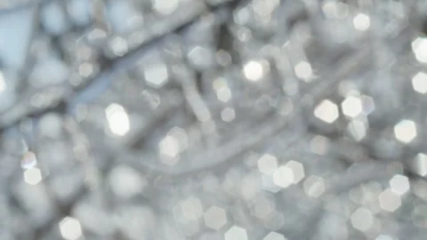 Blurred winter background with hexagonal bokeh light reflections on frozen tree Vídeos de archivo 303666418