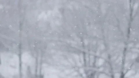 Blurred winter background of snow-covered trees and falling snow. During a Stock Footage 257788883