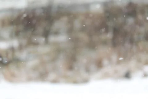 Blurred winter background with snowflakes on the foreground Stock Photos