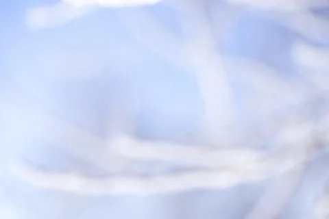 Blurred winter background, tree branches against blue sky Stock Photos