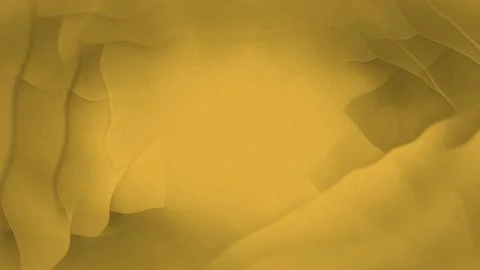 Blurred Yellow brown waves background Stock Footage 146358659