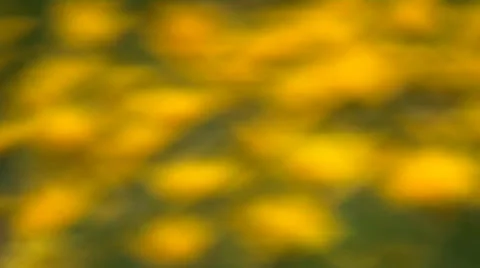 Blurred yellow dots background Stockbeeldmateriaal 23270085