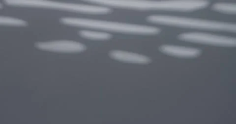 Blurred zebra light gobo pattern background Stock Footage 328013421