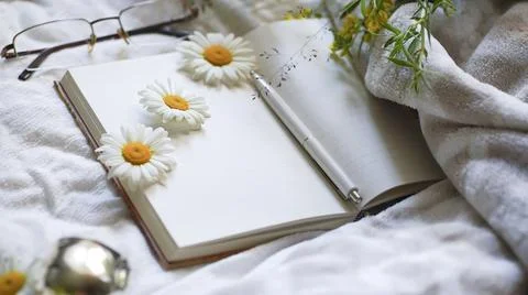 Blurredcomposition with daisies chamomile Stock Photos