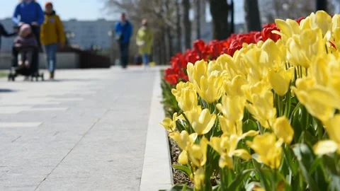 Blurry background of people in the park Stock-Footage 154333270