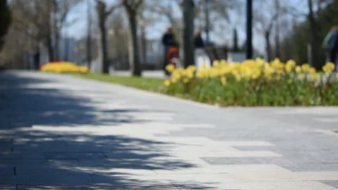 Blurry background of people in the park. Stock-Footage 155265635