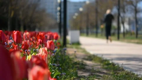Blurry background of people in the park. Stock-Footage 155265866