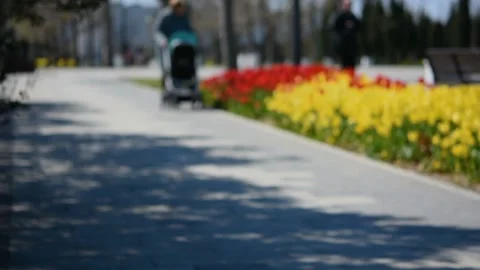 Blurry background of people in the park. Stock-Footage 155265933