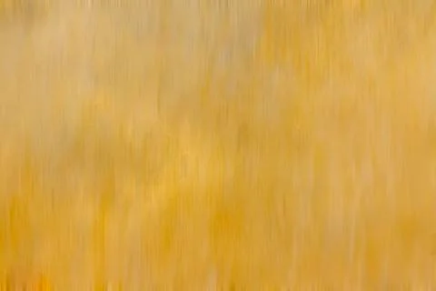 Blurry background Stock Photos