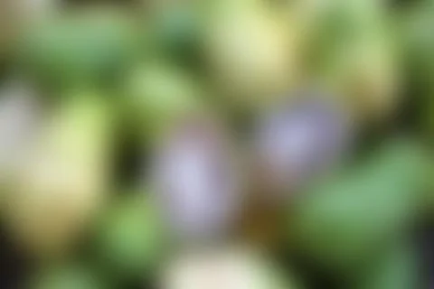 Blurry background Foto stock