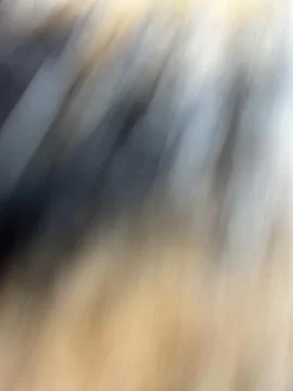 Blurry background Stock Photos