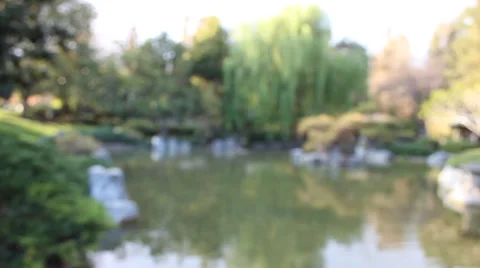 Blurry Background with Trees and Pond Stock Footage 39910896
