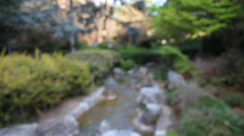 Blurry Background with Trees and Spring Stock Footage 39910300