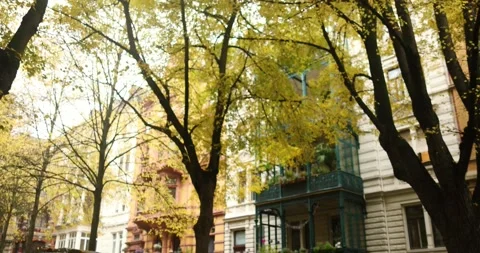 Blurry background yellow autumn trees after rainy day in street during fall Stock Footage 230487597
