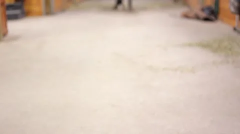 Blurry-barn-into-focus- Stock Footage 60995171