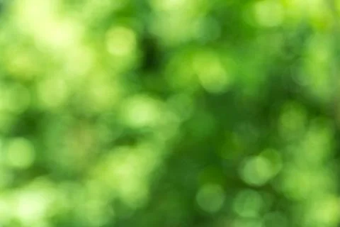 Blurry bokeh from leaf Stock Photos