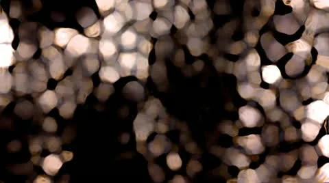 Blurry Brown Meta Particles Dissolutions Vidéo 11390220