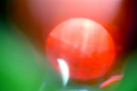 Blurry Christmas background Stock Photos