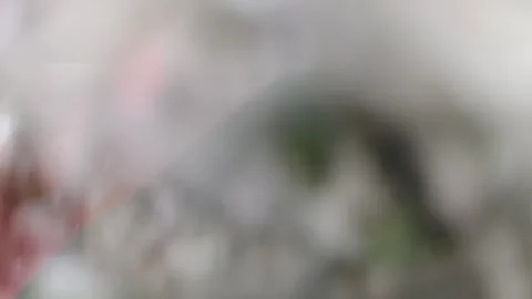 Blurry Close-Up of Nature Scene Showcasing Abstract Beauty of Textures Stock Footage 311513643