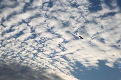 Blurry clouds pattern Stock-Fotos