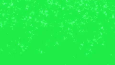 Blurry Dandelion Particle Falling Animation Overlay Green Screen Video stock 303385295