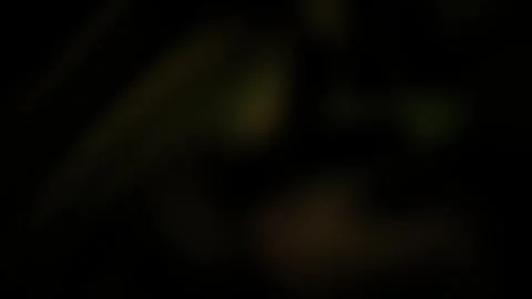 Blurry dark background with green shapes. Stock Footage 339998863
