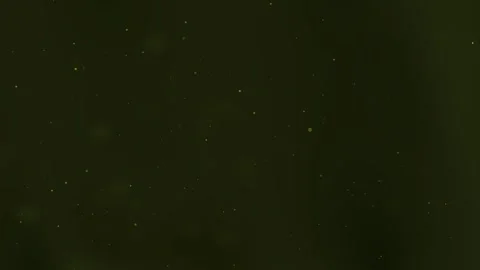 Blurry dark background with small white specks, ideal for adding a mysterious. Stock Footage 316831972