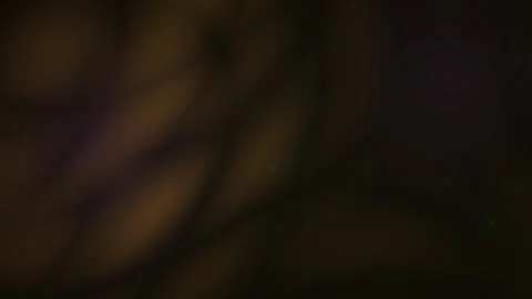 Blurry dark scene with mysterious light. Video stock 335506410