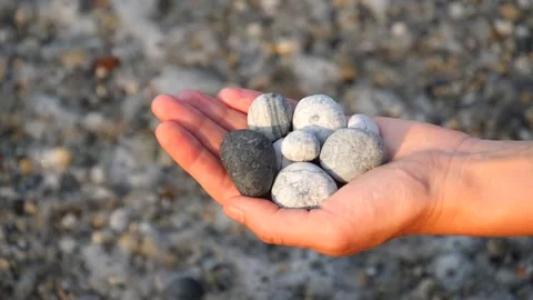 Blurry defocus Beautiful round gray, white sea stones lie in a female hand Stock Footage 134788729