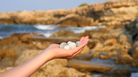 Blurry defocus Beautiful round gray and white sea stones lie in a female hand Stock Footage 134801108