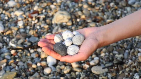 Blurry defocus Beautiful round gray, white sea stones lie in a female hand 库存影片 134809875