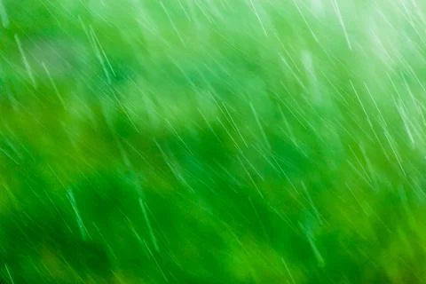 Blurry falling raindrops on green background with selective focus Stock Photos