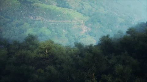 Blurry Forest With Mountain in Background Stock Illustration