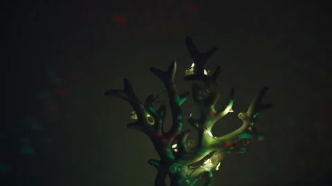 Blurry glimpses of a disco ball Stock Footage 140784050