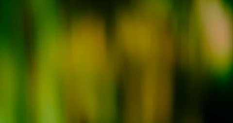 Blurry gradient abstract moving background Stock Footage 241788327