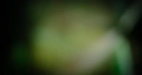 Blurry gradient abstract moving background Stock Footage 241788440