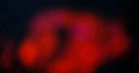 Blurry gradient abstract moving background Stock Footage 241788733