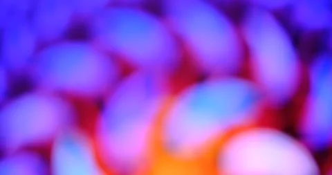 Blurry gradient abstract moving background Stock Footage 243828856