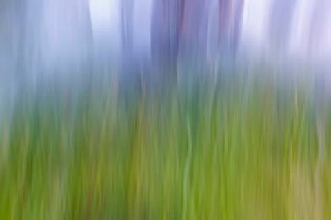 Blurry grass gradient background illustration with green yellow and purple color Stock Photos