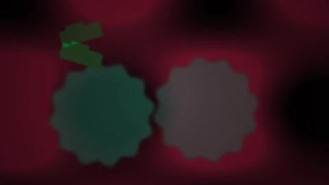 Blurry green and red cell structures. Stock Footage 335506464