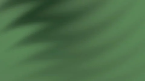 Blurry green background. Video stock 301359023