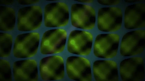 Blurry green cells in grid pattern. Stock Footage 335506646