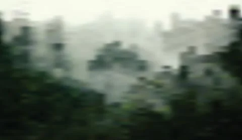 Blurry green landscape with soft mist and natural light creating abstract Stock Illustration
