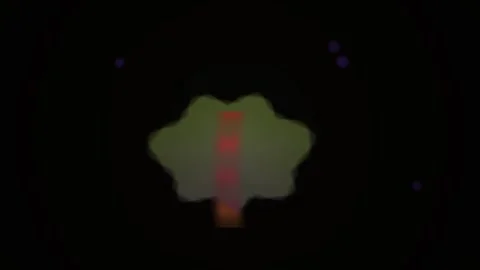 Blurry green leaf on black background. Stock Footage 335506450