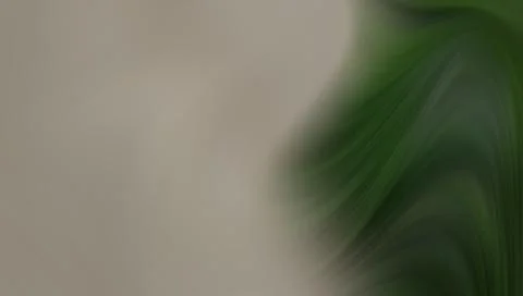 Blurry green leaf on gray background Stockillustratie