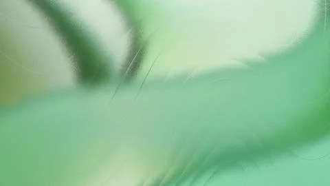 Blurry green leaf with scratches on surface closeup photography  abstract n.. Stockillustratie