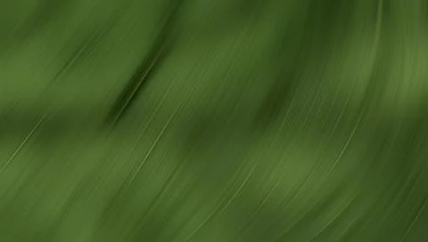 Blurry green leaf texture background Stockillustratie