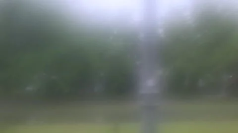 Blurry green park scene in soft mist 스톡 동영상 336741783