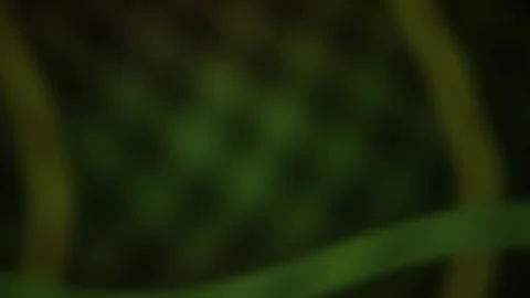 Blurry green plant stems in dark background. Stock Footage 336693333