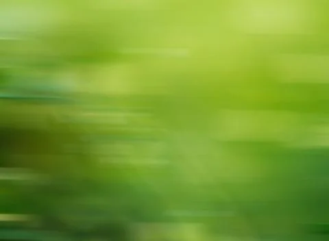 Blurry green plants background Stock Photos